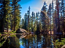 Kamienie, Stan Kalifornia, Jezioro, Góry, Park Narodowy Yosemite, Stany Zjednoczone, Lasy