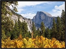 Kalifornia, Drzewa, Góry, Jesień, Yosemite