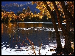 Kalifornia, Jezioro, Jesień, Drzewa