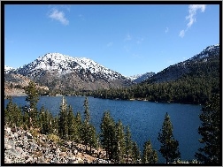 Kalifornia, Góry, Drzewa, Jezioro, Yosemite