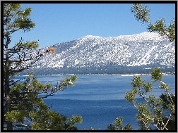 Kalifornia, Góry, Drzewo, Jezioro, Tahoe