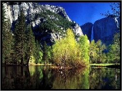 Stan Kalifornia, Góry, Drzewa, Park Narodowy Yosemite, Stany Zjednoczone, Jezioro