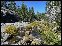 Kalifornia, Las, Rzeka, Kamienista, Yosemite
