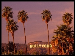 Palmy, Kalifornia, Hollywood