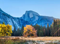 Jesień, Las, Promienie słońca, Park Narodowy Yosemite, Stany Zjednoczone, Kalifornia, Góry, Drzewa