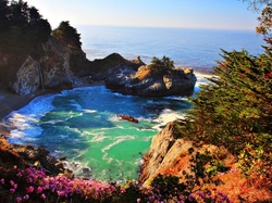 Kalifornia, Wybrzeże, Zatoka, Morze, Skały. Lilie