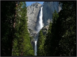 Drzewa, Stan Kalifornia, Skały, Wodospad, Park Narodowy Yosemite, Stany Zjednoczone, Góry