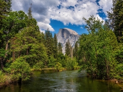 Drzewa, Rzeka, Park Narodowy Yosemite, Góry, Stany Zjednoczone, Kalifornia, Szczyt Half Dome, Merced River