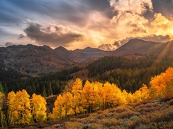 Kalifornia, Góry, Sonora Pass, Region Eastern Sierra, Drzewa, Słońce, Promienie słońca, Jesień, Stany Zjednoczone, Chmury
