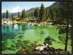 Kamienie, Tahoe, Kalifornia, Góry, Jezioro, Las
