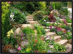 Kamienie, Kwiaty, Ogród, Schody