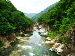 Góry, Wyspa Honsiu, Drzewa, Rzeka, Park Narodowy Nikko, Japonia, Kamienie