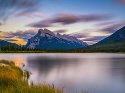 Las, Jezioro, Drzewa, Park Narodowy Banff, Kanada, Alberta, Góry, Vermilion Lakes