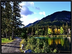 Kanada, Drzewa, Góry, Jezioro, Banff