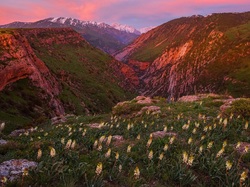Zachód słońca, Kanion rzeki Aksu, Rezerwat przyrody Aksu-Zhabagly, Kazachstan, Góry