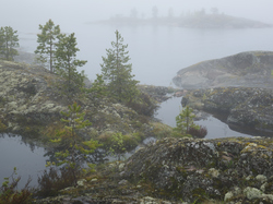Skały, Karelia, Rosja, Drzewa, Mgła, Jezioro Siegoziero
