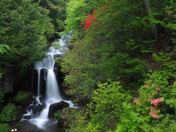 Japonia, Drzewa, Park Narodowy Nikko, Kaskady, Wodospad Ryuzu Falls, Las, Wyspa Honsiu