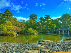 Kioto, Staw, Drzewa, Park, Japonia, Most