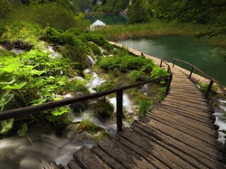 Kładka, Chorwacja, Park Narodowy Plitvice, Jeziora