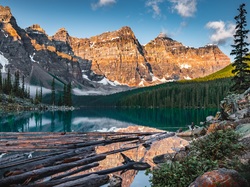 Park Narodowy Banff, Moraine Lake, Kłody, Góry, Alberta, Kanada, Las, Jezioro, Drzewa