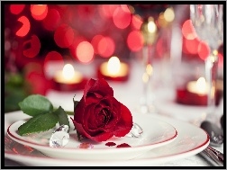 Kolacja, Róża, Walentynki, Romantyczna