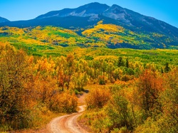 Kolorado, Sawatch Range, Kebler Pass, Przełęcz, Lasy, Droga, Jesień, Góry, Stany Zjednoczone, Drzewa