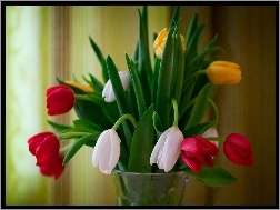 Wazon, Kolorowe, Tulipany