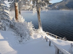 Canim Lake, Śnieg, Drzewa, Szron, Kolumbia Brytyjska, Kanada, Pogodny dzień, Zima, Jezioro