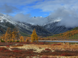 Kołyma, Góry Kołymskie, Mgła, Pies, Magadan, Rosja, Drzewa, Jesień, Jezioro Jack London Lake