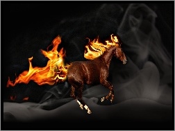 Ogień, Koń, Galop