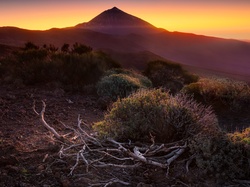 Zachód słońca, Teide, Wulkan, Hiszpania, Teneryfa, Góra, Konary