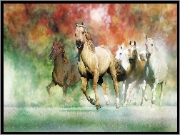 Konie, Galop