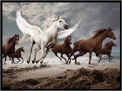 Skrzydła, Konie, Galop