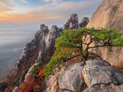 Korea Południowa, Skały, Prowincja Gyeonggi-do, Góra Dobongsan, Sosna, Góry, Park Narodowy Bukhansan