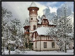 Śnieg, Kościół, Drzewa