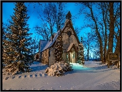 Zima, Kościółek, Drzewa