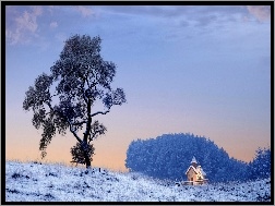 Kościółek, Śnieg, Zima, Drzewo