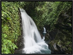 Kostaryka, Skały, Wodospad, Zieleń