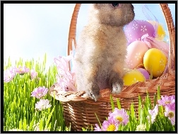 Koszyk, Jajka, Wielkanoc, Zając