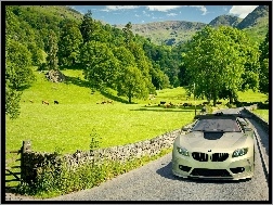 Krajobraz, BMW, Oliwkowe, Droga
