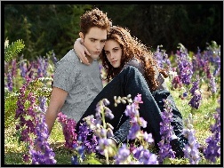 Kristen Stewart, Kwiaty, Łąka, Robert Pattinson