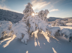 Śnieg, Ukraina, Promienie słońca, Drzewa, Zima, Góry Krymskie