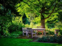 Krzesła, Drzewa, Ogród, Stół