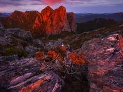 Krzewy, Szczyty, Arthur Range, Wschód słońca, Australia, Tasmania, Skały, Góry