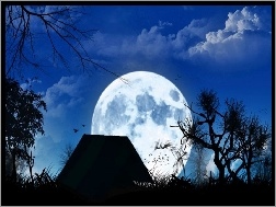 Chata, Księżyc, Noc