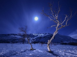 Księżyc, Góry, Zima, Drzewa