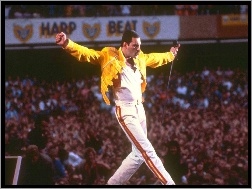 Kurtka, Freddie Mercury, Żółta