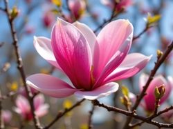 Magnolia, Kwiat, Gałęzie, Grafika AI