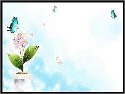 Motyle, Kwiat, Doniczka