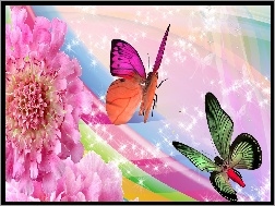 Motyle, Kwiat, Dwa